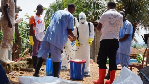 Echoes of Ebola: social and political warnings for Covid-19 response in African settings