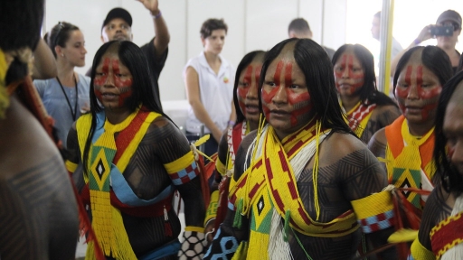 COVID-19 e os Povos Indígenas