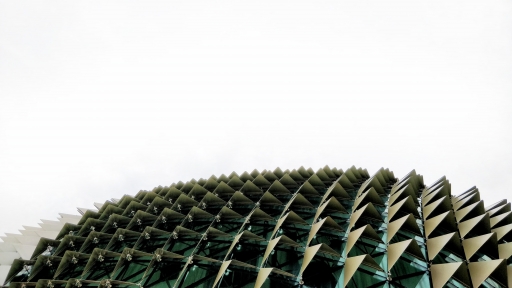 Epistemologías Del Sur (4.ª edição | 2019-2020)