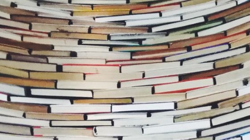 Cidadania em perigo: crime, fim-do-mundo e biopolítica nas literaturas e no cinema pós-coloniais