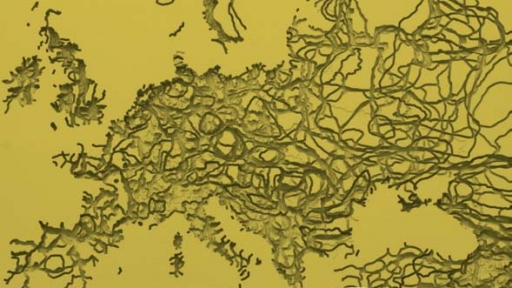 Borders
