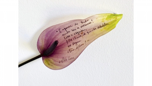 The seams of post-memory and new literature