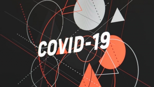 Bruno Sena Martins on Covid-19 - «Causa e Efeito» TV show