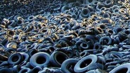 Beyond Modernity: Alternative Incursions into the Anthropocene