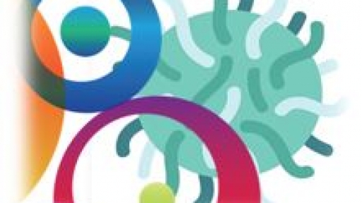 Project «Pandemic and Academia at home - what effects on teaching, research and career?»
