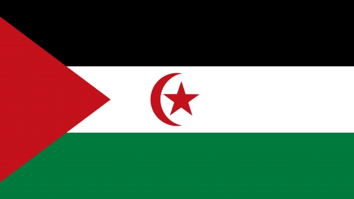 The current situation in Western Sahara: challenges to international solidarity