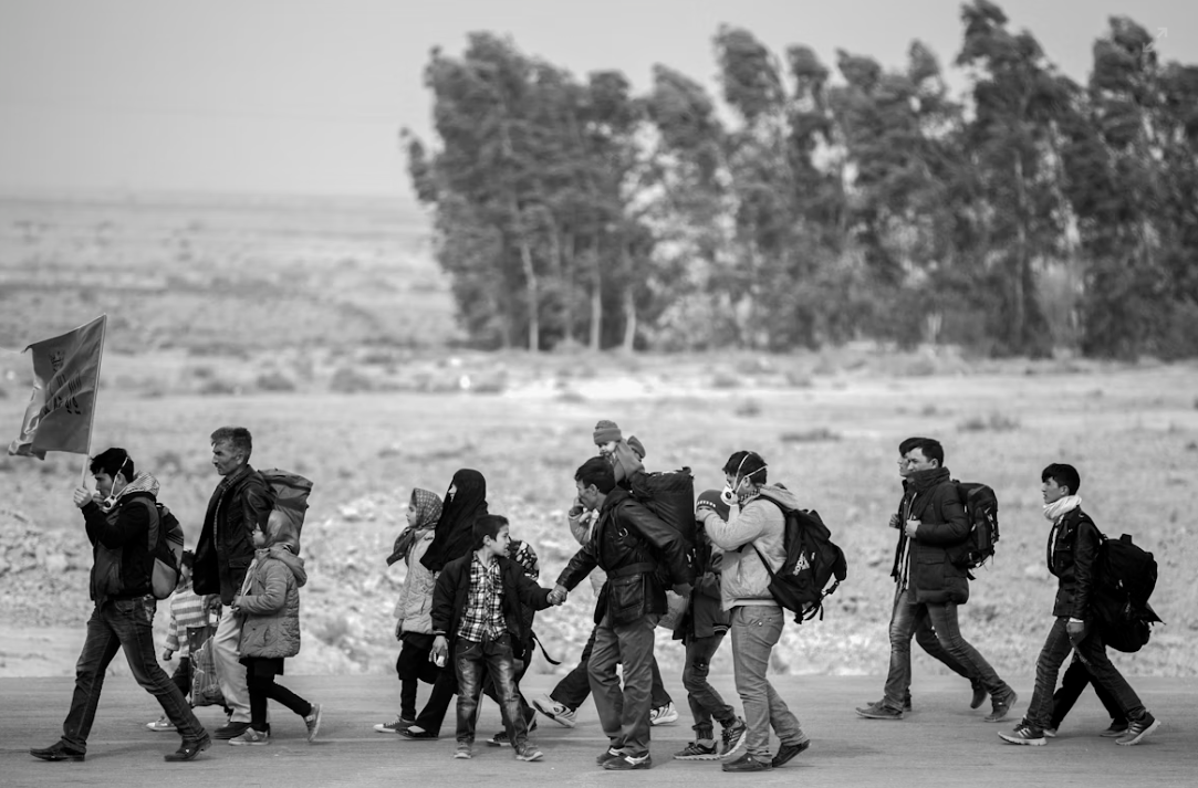 Ancestralidades, migra&ccedil;&otilde;es e deslocamentos