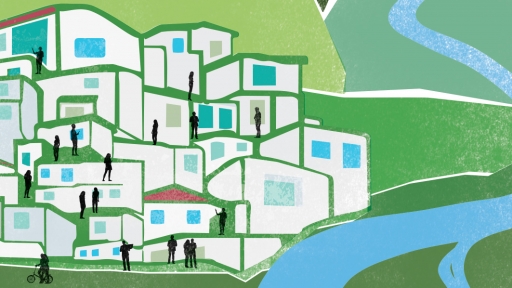 Active Governance - The Role of Boards of Directors in Territorial Development in Brazil