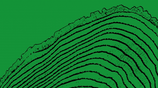 Community-based change: local and traditional knowledge(s) in NbS